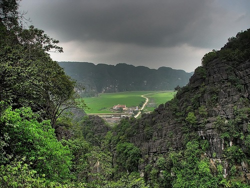 Cuc Phuong National Park