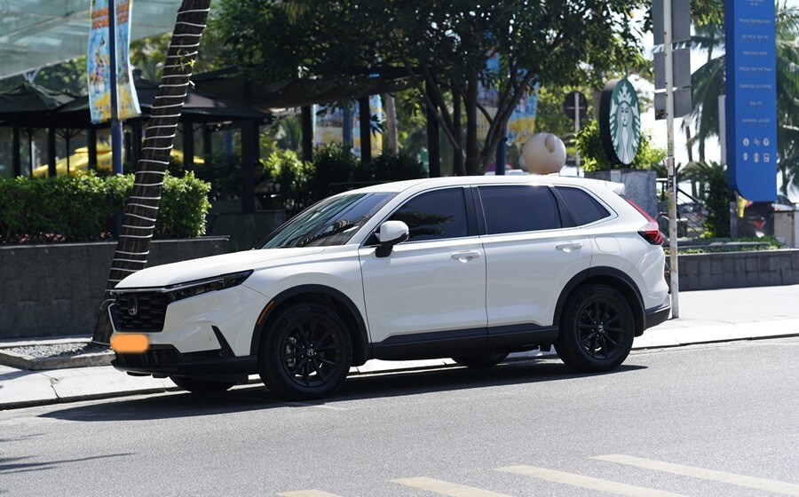 7-persoonsauto met chauffeur te huur in Nha Trang