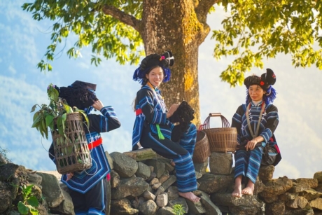 Trang phục nhuộm chàm