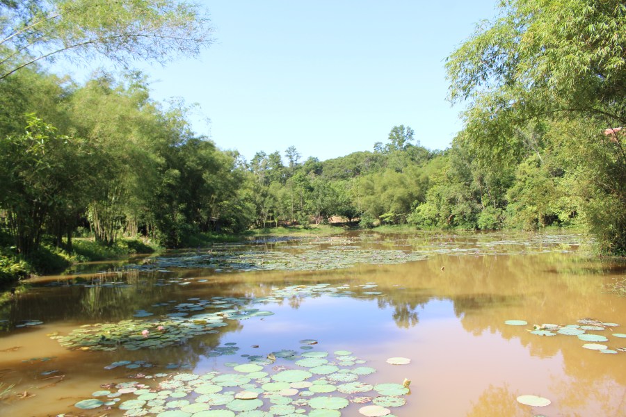 Khung cảnh chùa