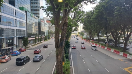 Một đường phố ở Singapore