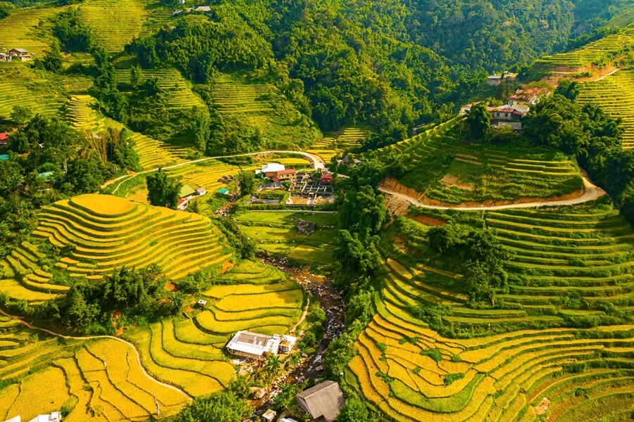 Thung lũng Mường Hoa gần Sa pa