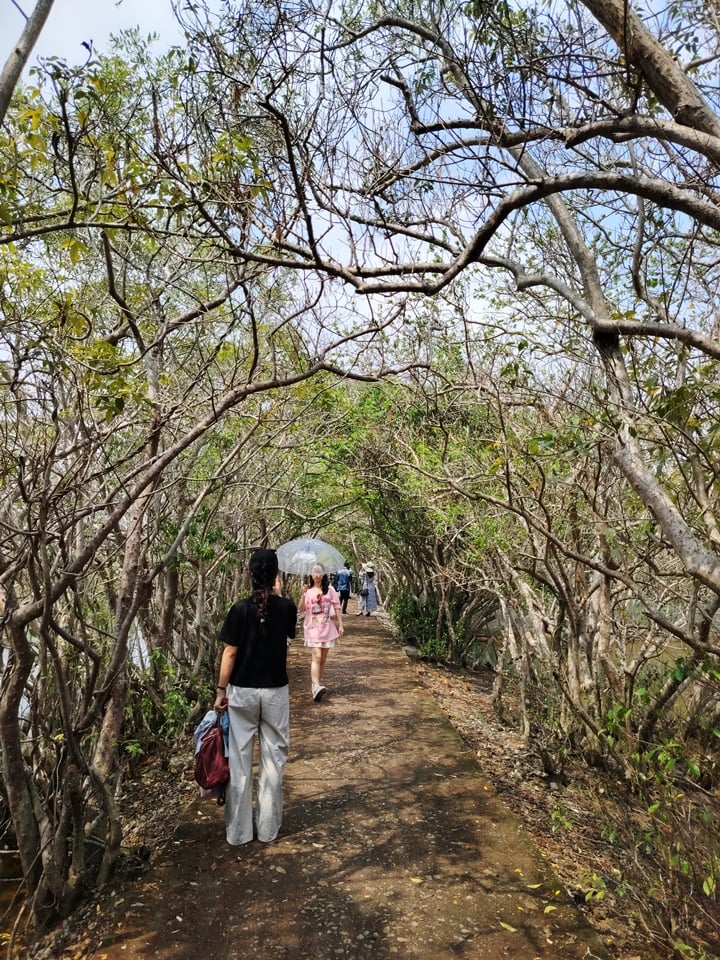 Du khách chụp ảnh lối đi đường hầm rú chá