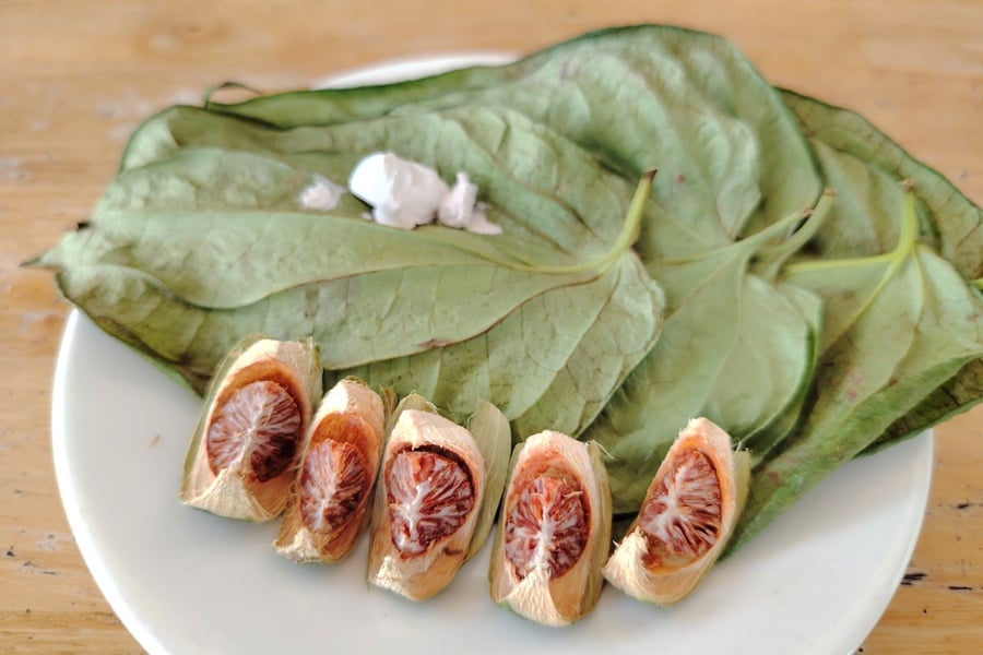 Trầu cau - biểu tượng văn hóa của Việt nam