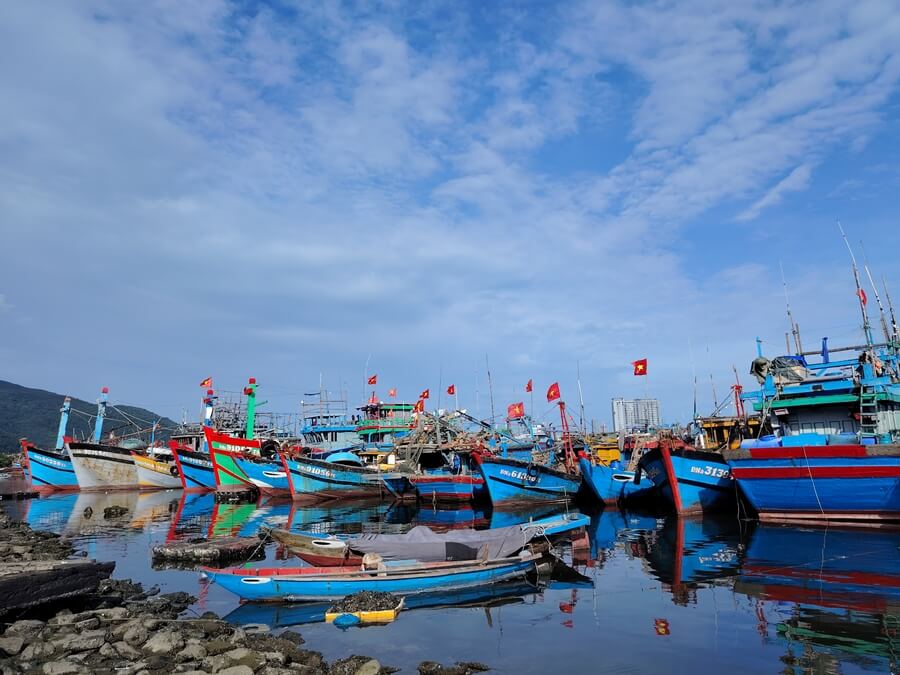 Âu thuyền Thọ Quang vào buổi chiều với các tàu cá neo đậu tại Đà Nẵng