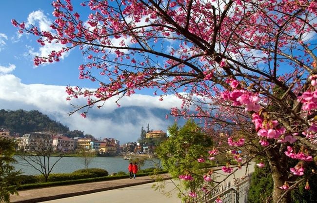 Travel in Dalat Vietnam