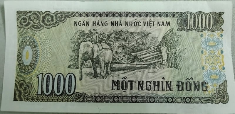 1000 Vietnam Dong