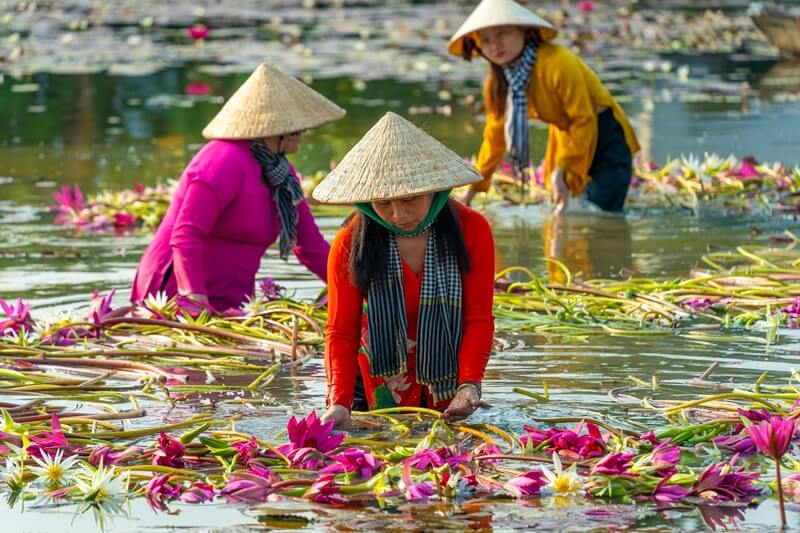 The Traditional Vietnamese Hat History and How to Make Non La