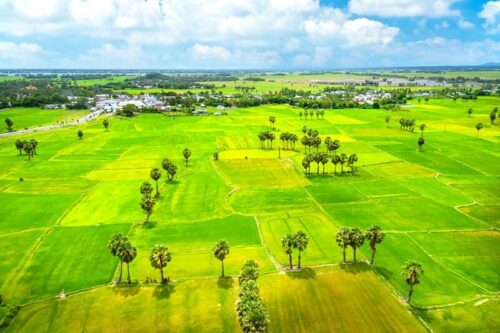 11 Beautiful Rice Fields in Vietnam to Get Nice Pictures