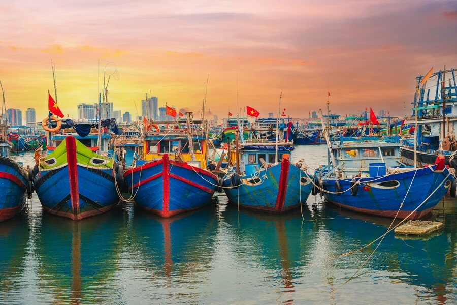 Fishing boats
