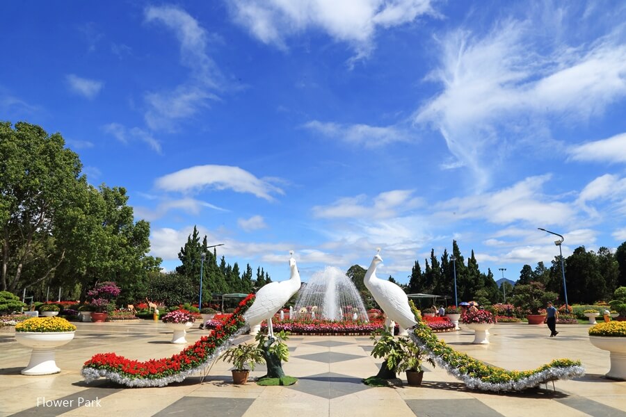 Flower Park in Da Lat City