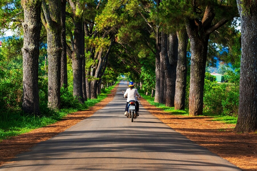 Pleiku, Gia Lai, Central Highlands