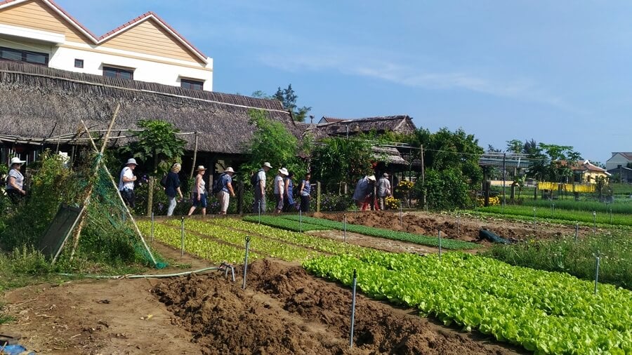 Visiting Tra Que Village