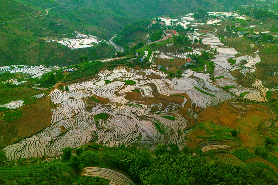 Terraced rice fields cascading down the hillsides in Sa Pa