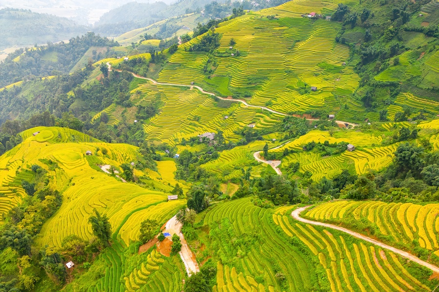 Sunny day over winding roads and mountains with rice fields in Sapa