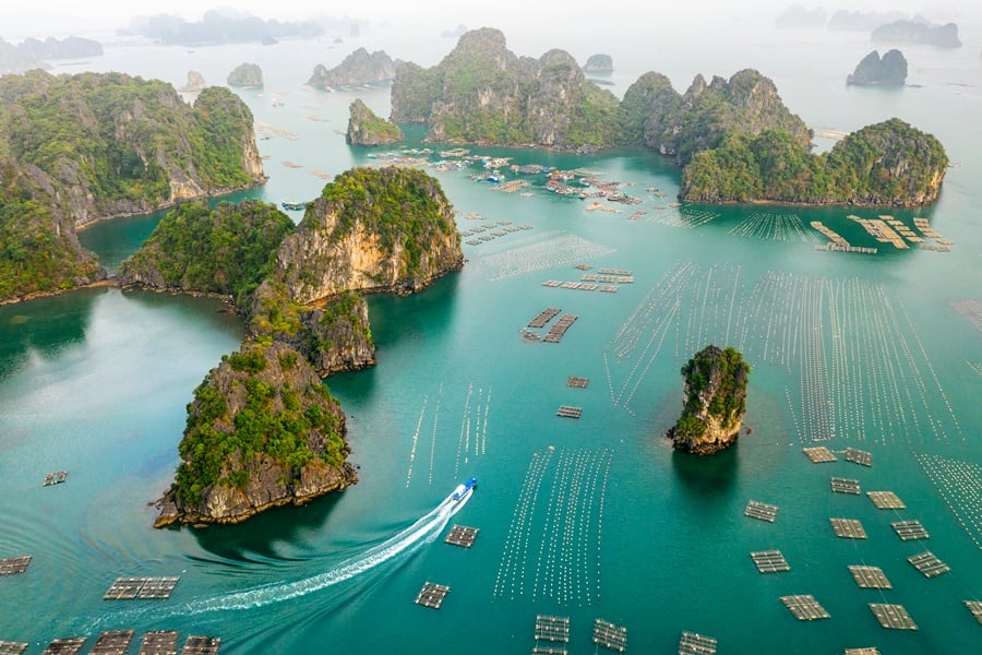 Bai Tu Long in Ha Long Bay