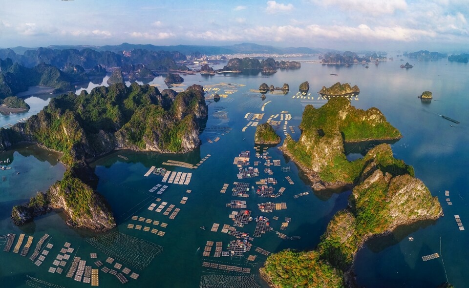 Ha Long Bay from above