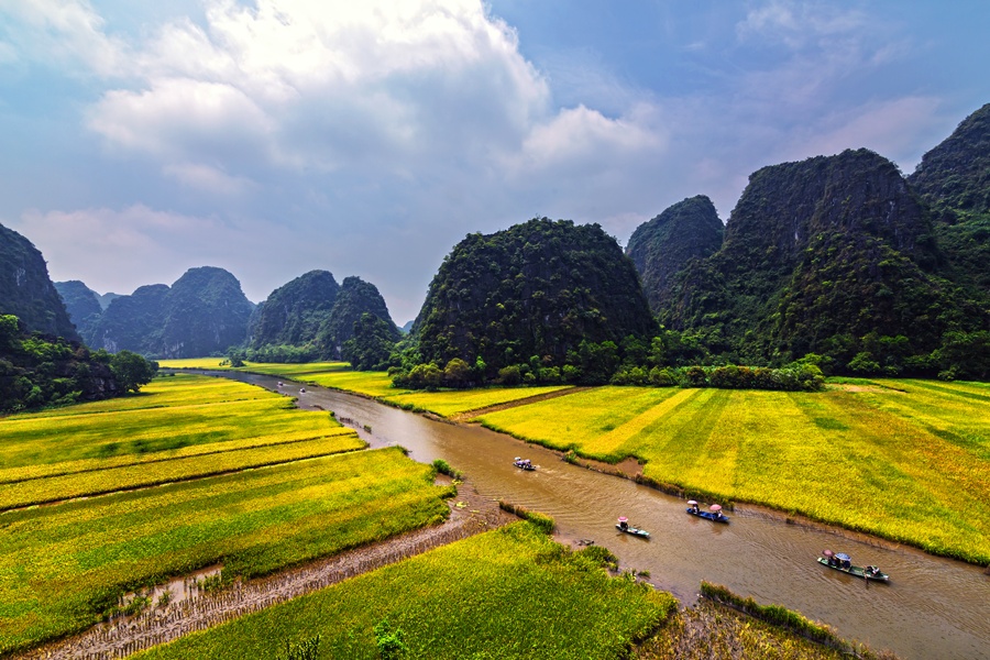 Boat on river surrounded by golden rice fields and mountains in Ninh Binh, Vietnam