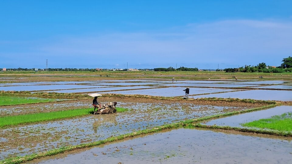 Vietnamese farmers working on a rice field with a plowing machine, showing the traditional agricultural life in Vietnam