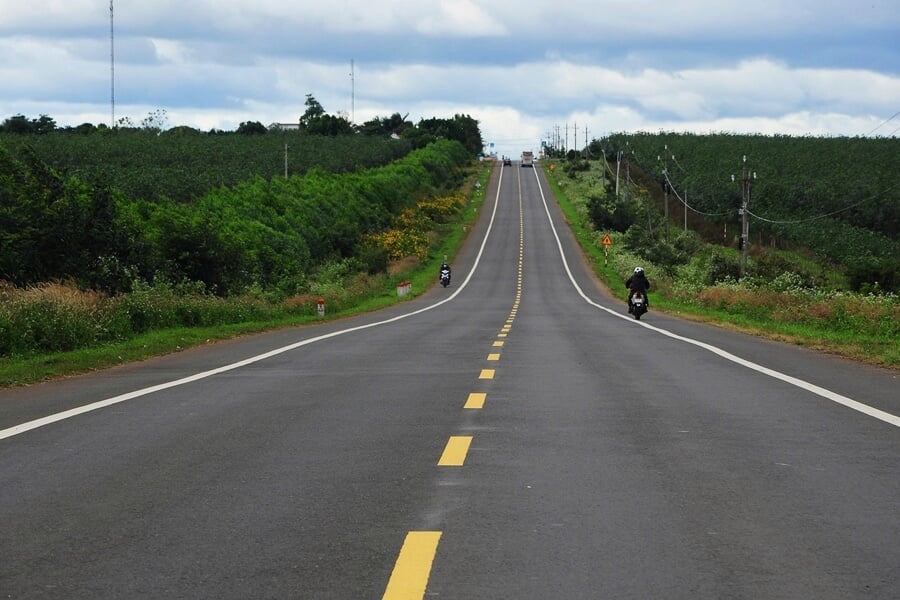 Road rising and falling through rubber plantations in the Central Highlands