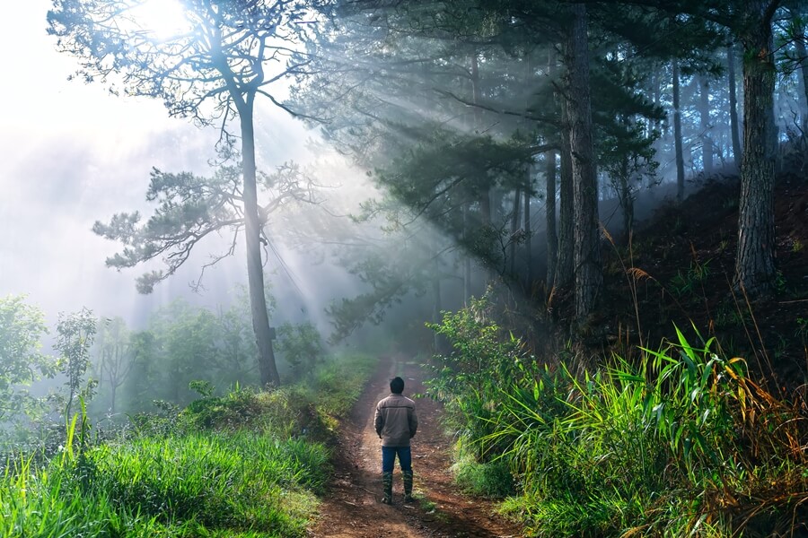 A traveler standing on a foggy pine forest road in Da Lat, Vietnam