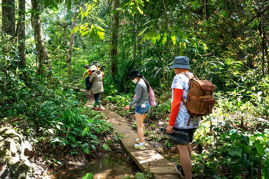 Travelers trekking through forest trails in Nam Cat Tien National Park