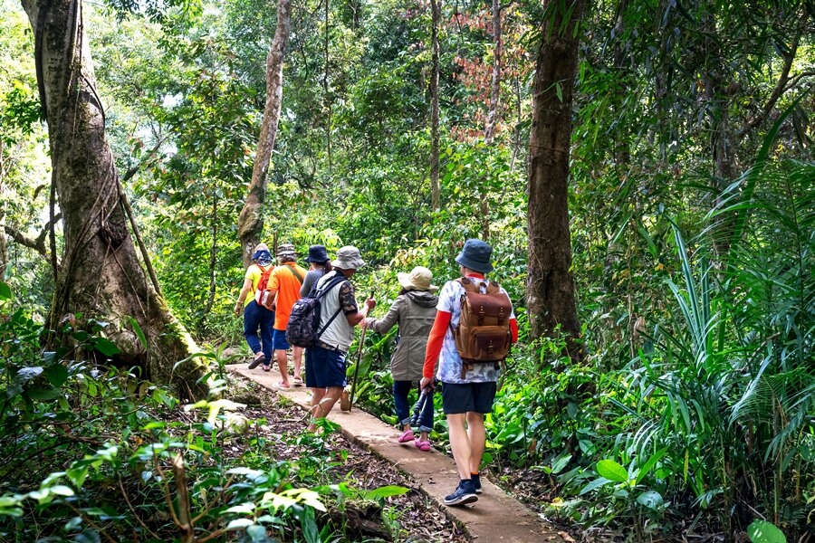 Group of travelers trekking inside Nam Cat Tien National Park forest in southern Vietnam