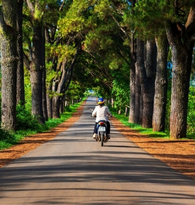 Pleiku, Gia Lai, Central Highlands